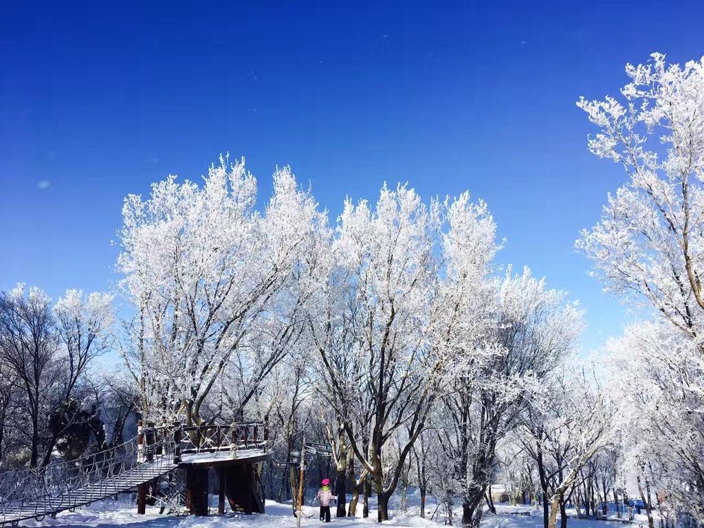 Songhua Lake Qingshan Snow View Apartment 지린시 외부 사진